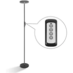 LED Torchiere Floor Lamp with Remote Control