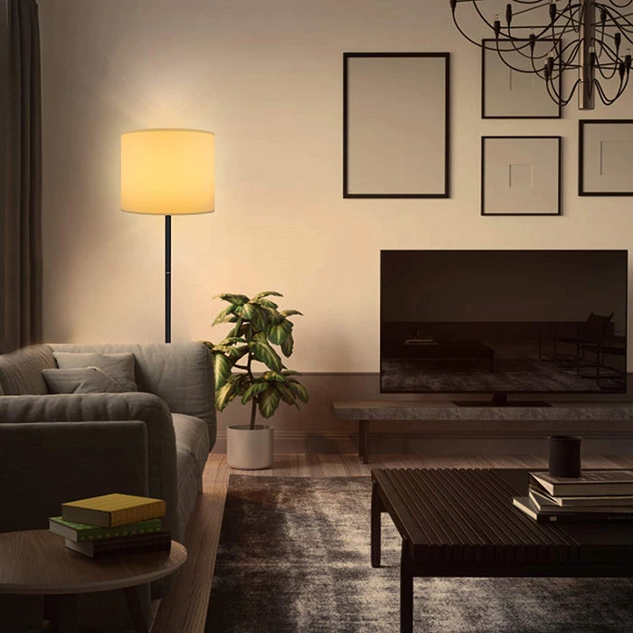 Simple Design Floor Lamp for Living Room