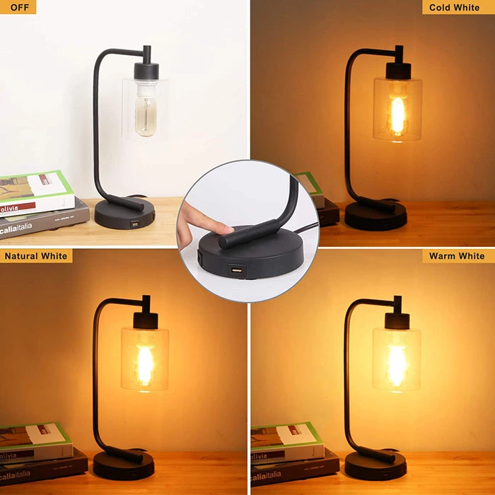 Industrial Glass Lampshade Table Lamp for Reading