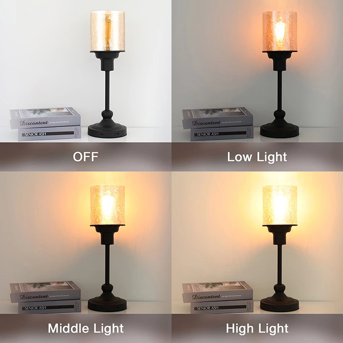 Industrial 3-Way Touch Dimmable Cracked Glass Table Lamp